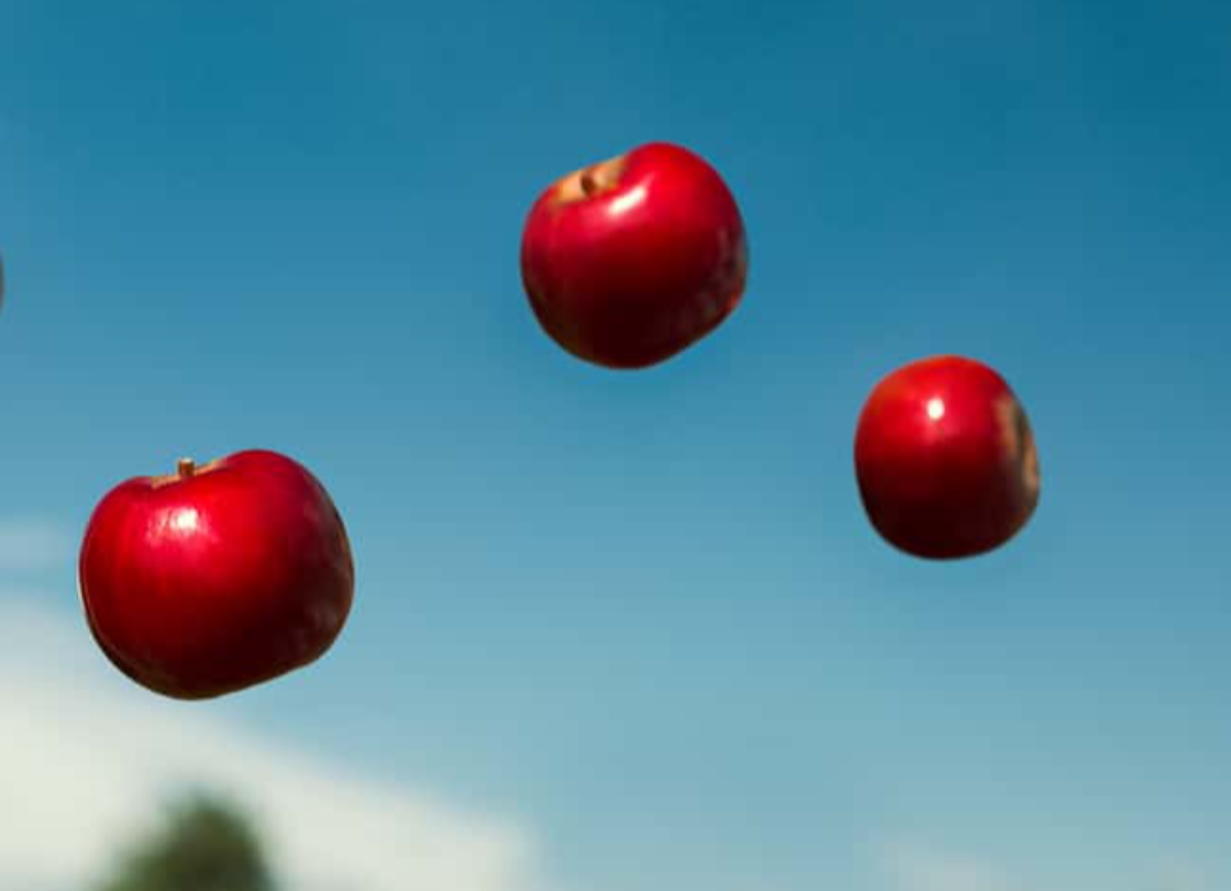 Bizarre Science facts