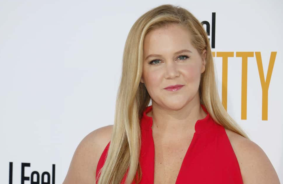 Amy Schumer at the Los Angeles premiere in red dress