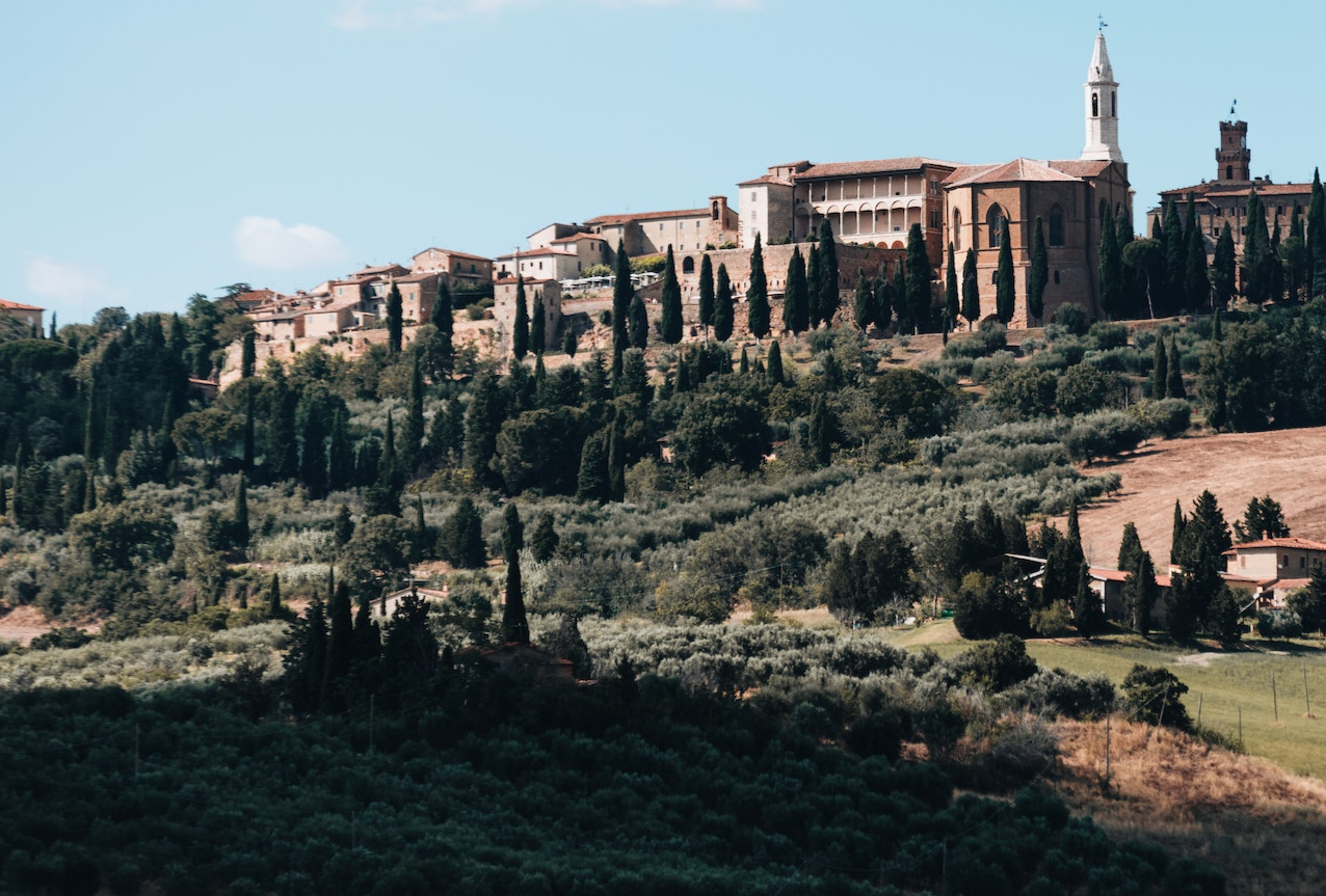 scenery of an old European town surrounded by green trees