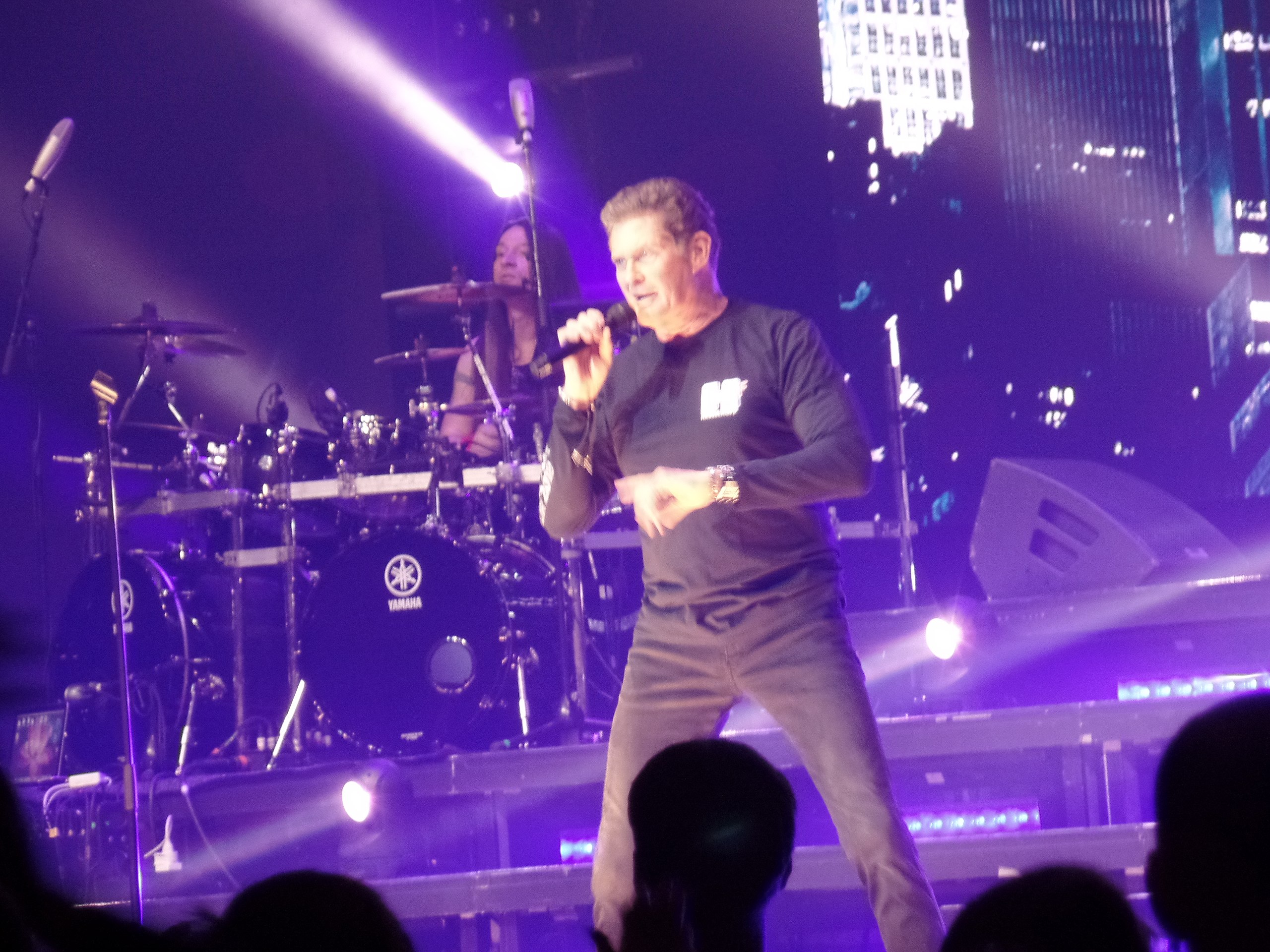 David Hasselhoff in black