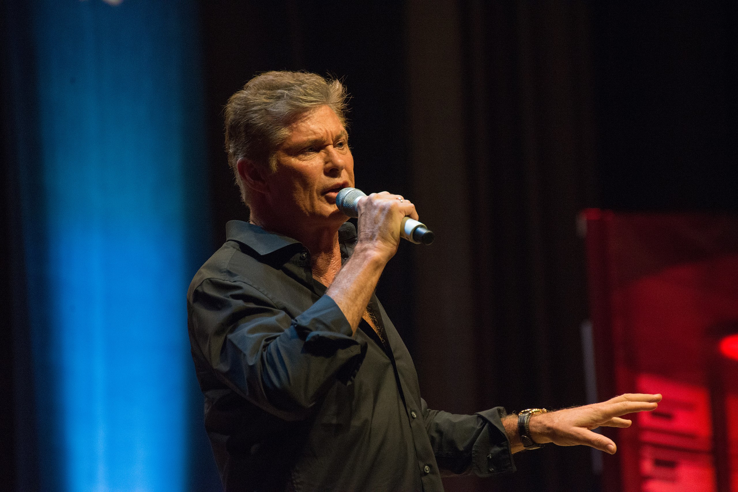 David Hasselhoff at Fedcon26