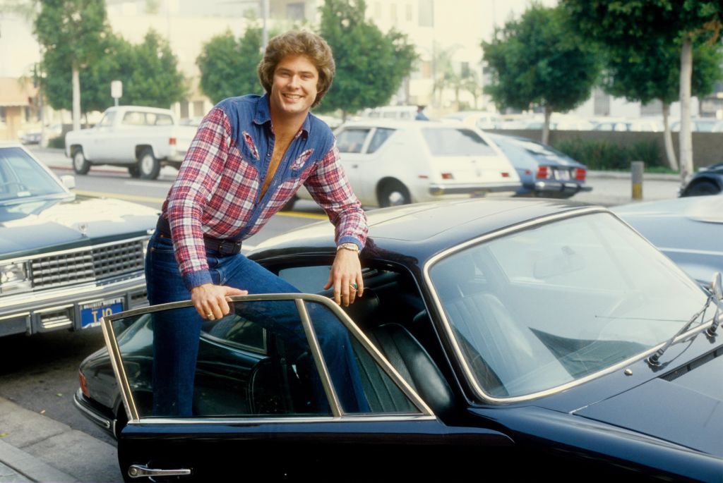 Actor and singer David Hasselhoff in  plaid shirt