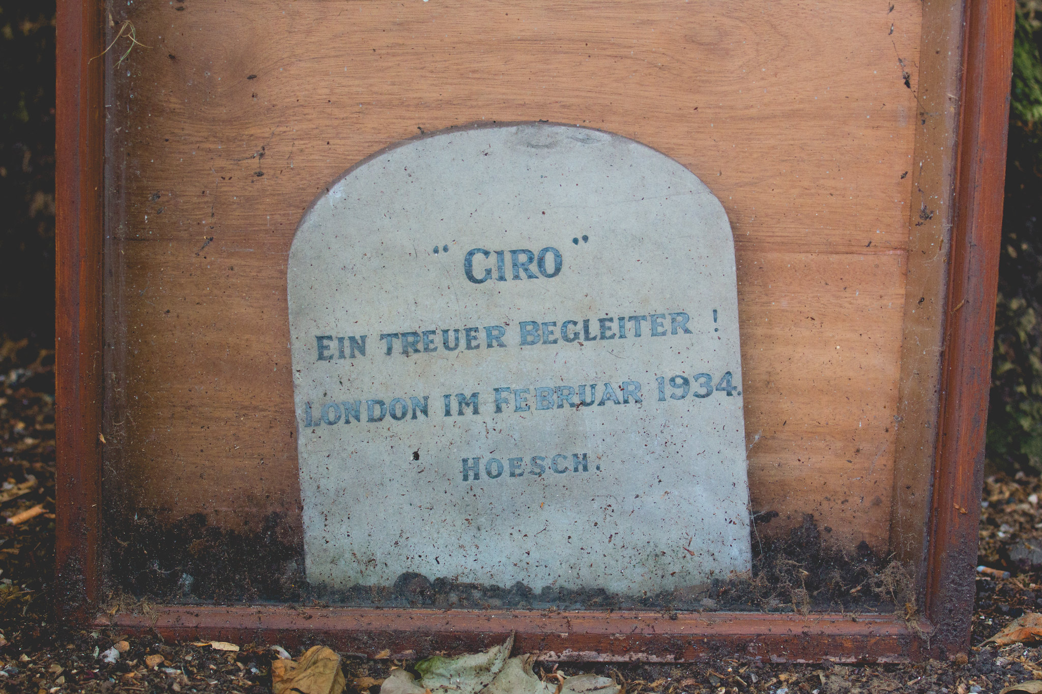 Gravestone at the top of the Duke Of York steps - Giro (dog) - 2014