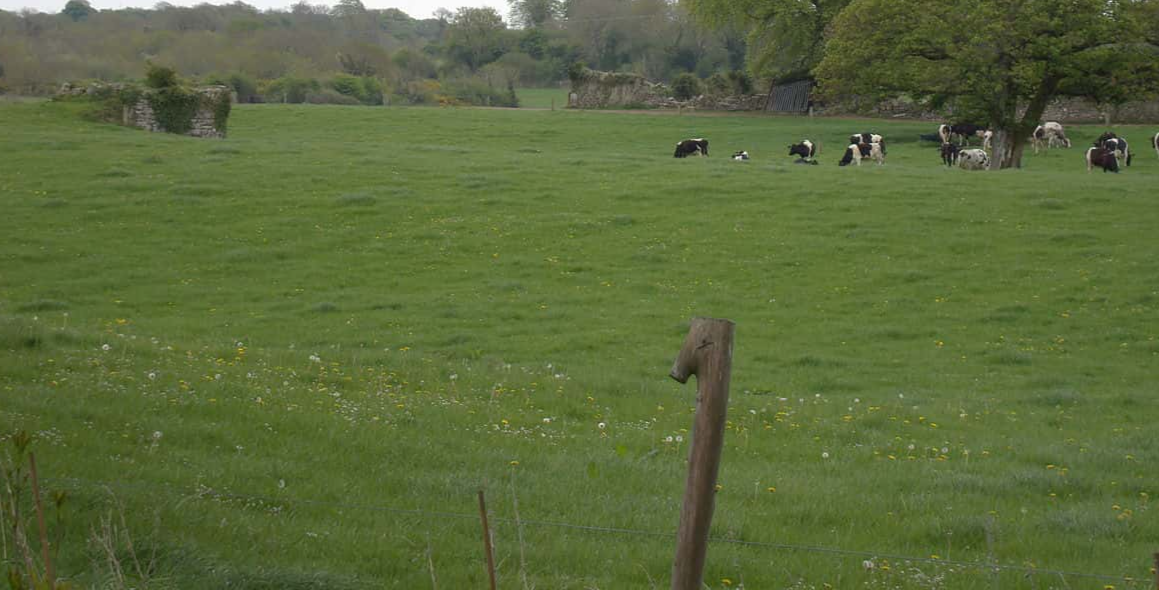 Haunted Places Facts