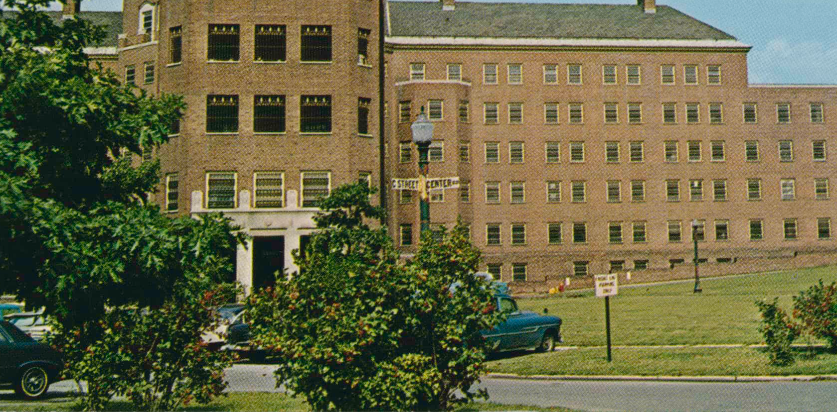 Insane Asylums Facts