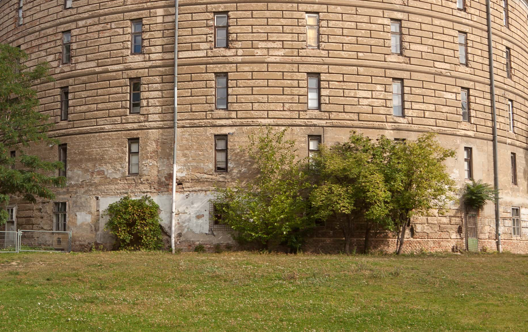 Insane Asylums Facts