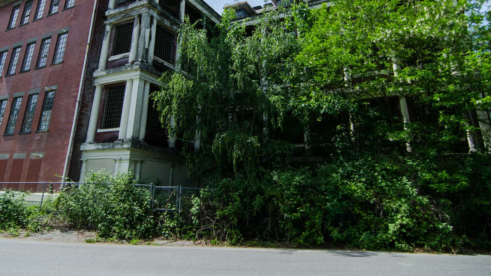 Insane Asylums Facts