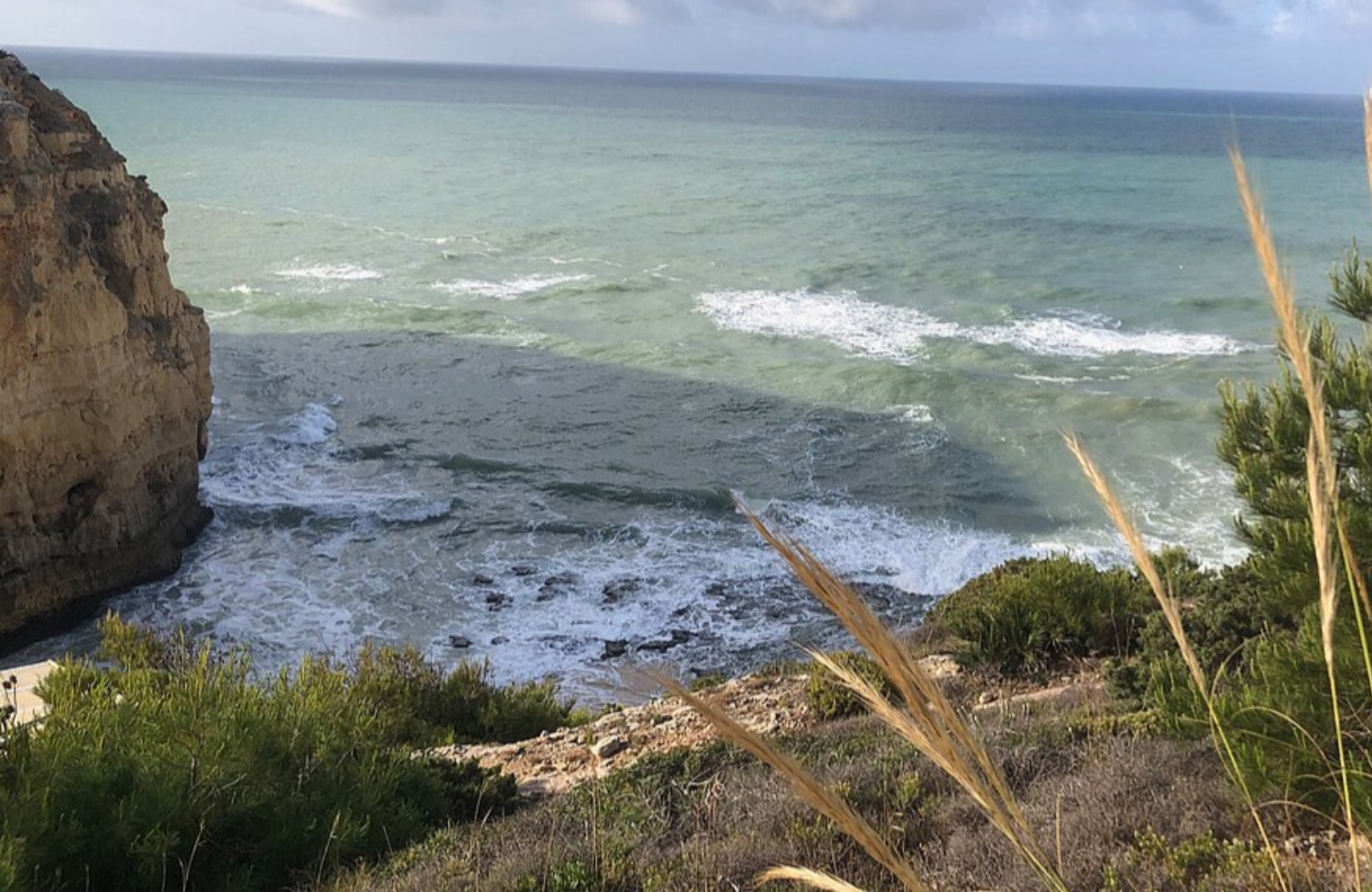 Photography of Atlantic ocean sea shore with rocks and plants