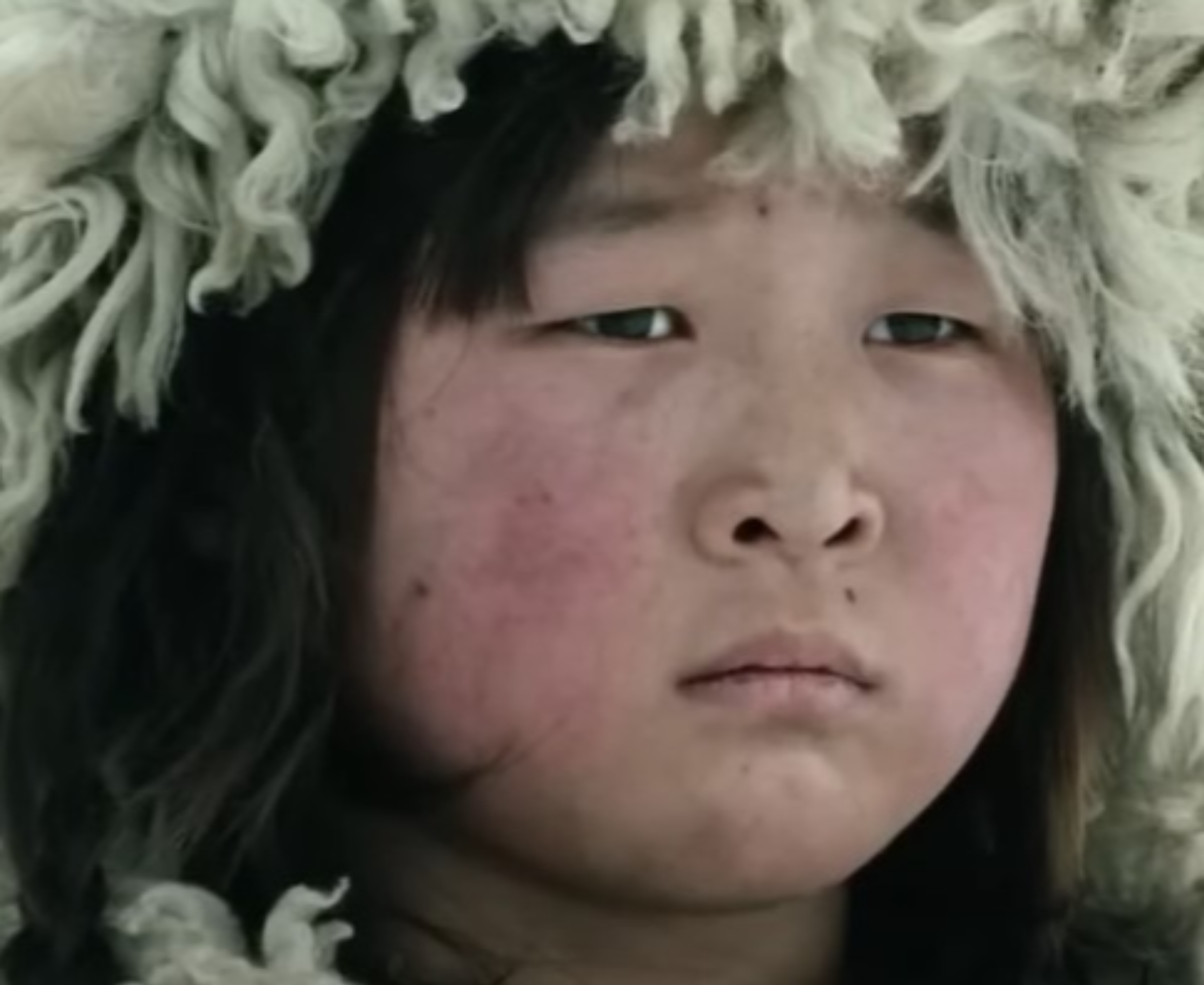  Resurrecting Genghis Khan.