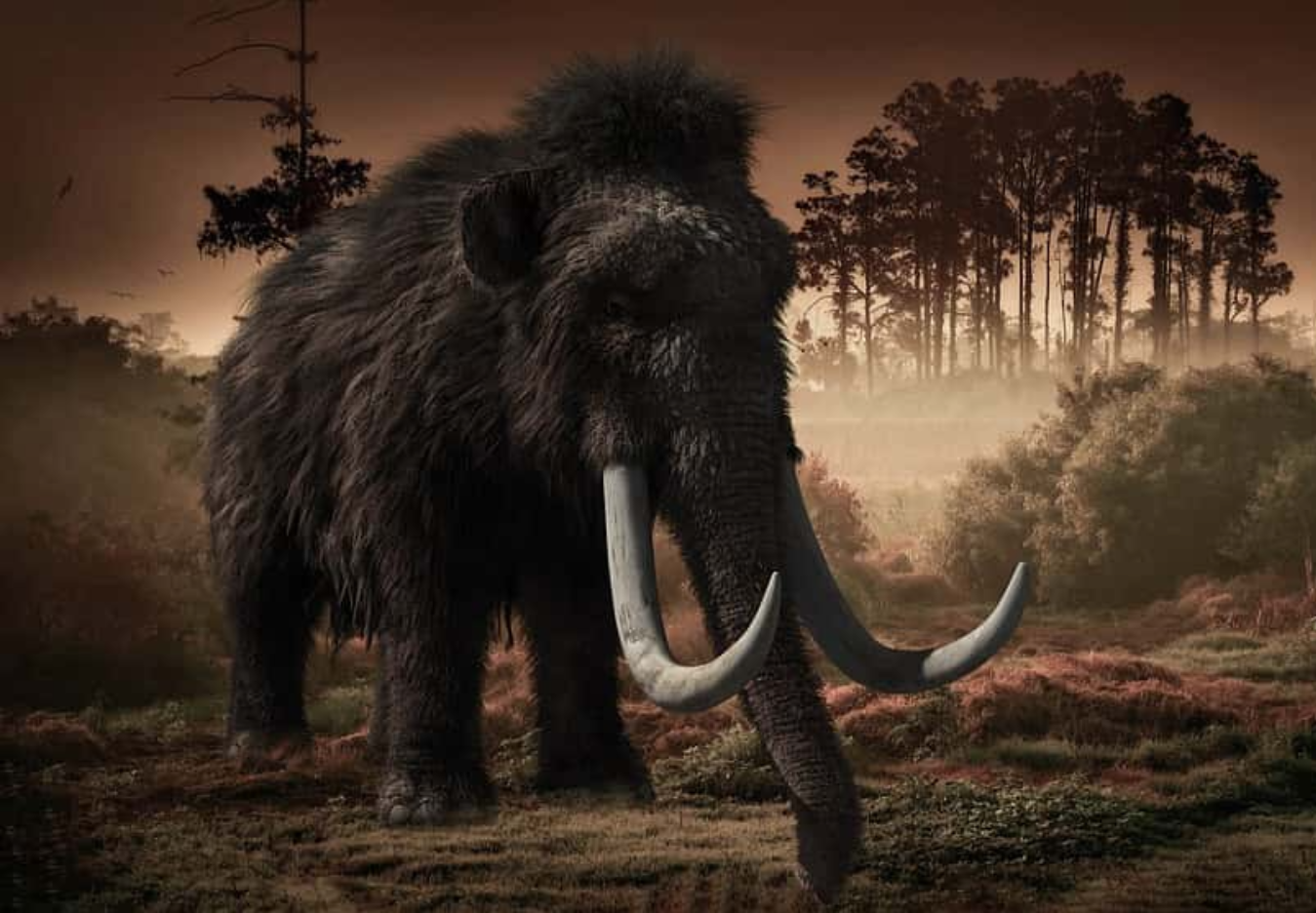 Prehistoric Beasts Facts