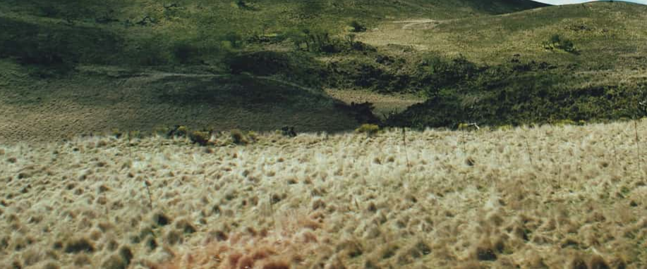 Common Misconceptions facts