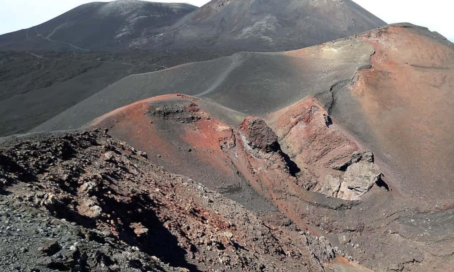 Henry VIII's Wives facts