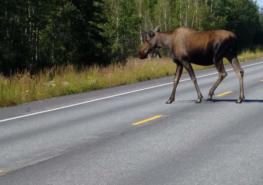 Weirdest Experiences On The Roads