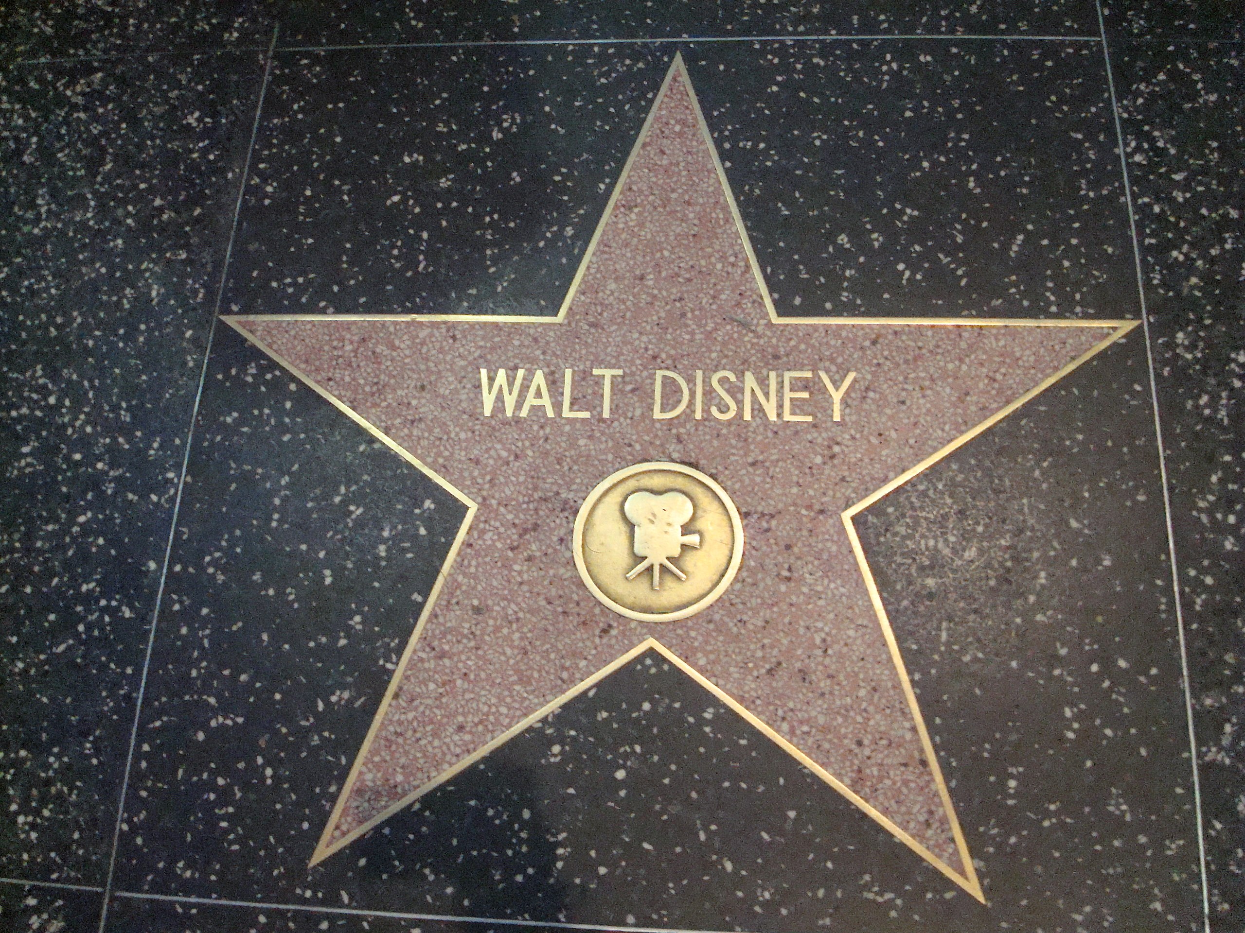 Walt Disney Star