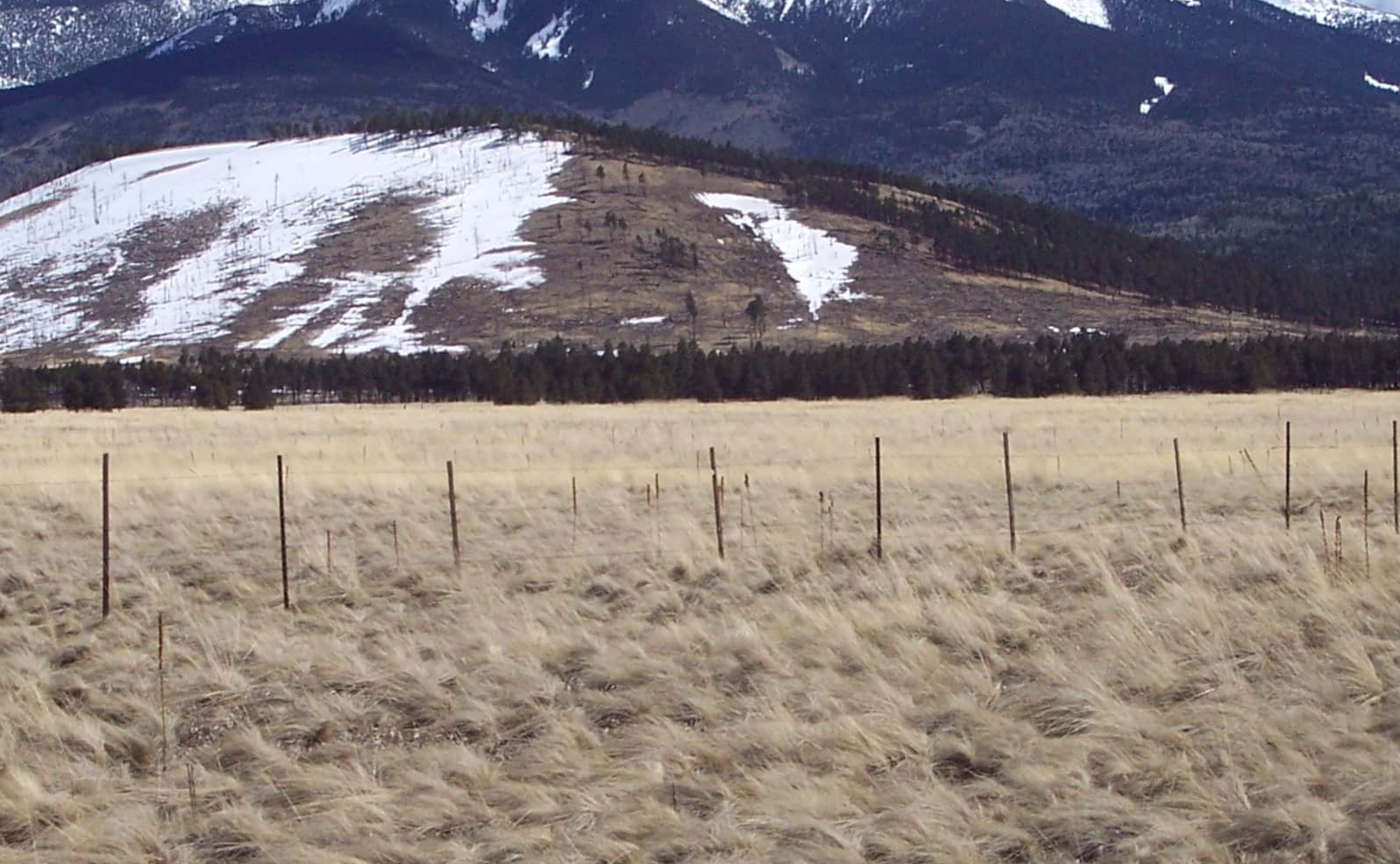 Sir Walter Raleigh facts