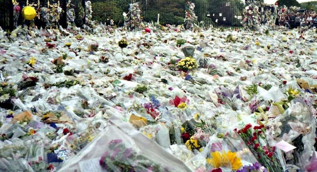 Princess Diana Facts