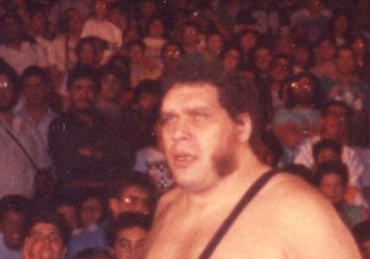 Fan photo of professional wrestler André the Giant on March 7, 1989 at the El Paso Civic Center during a video-taped WWF 