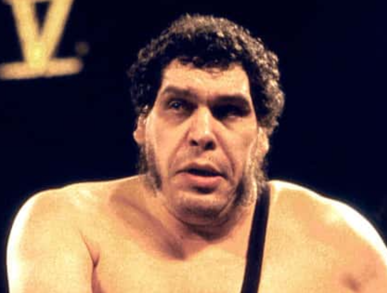 Andre the Giant at a wrestling match