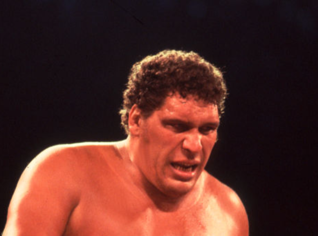 Andre the Giant at Wrestlemania 2 in ring