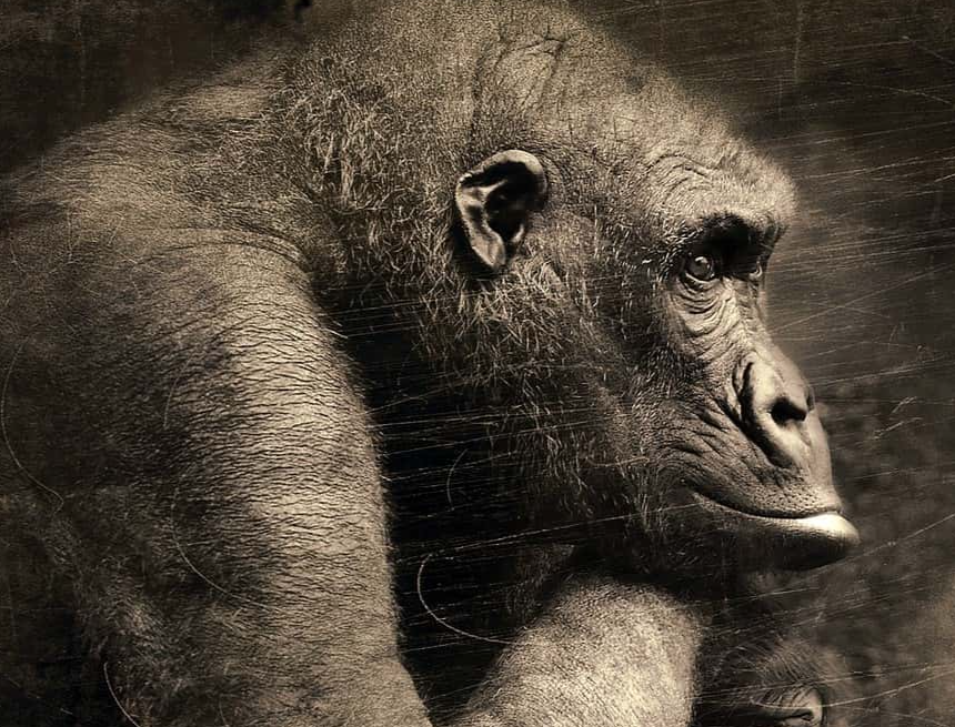 Scandalous Historical Facts