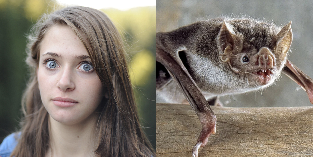 Creeped out girl and bat split image