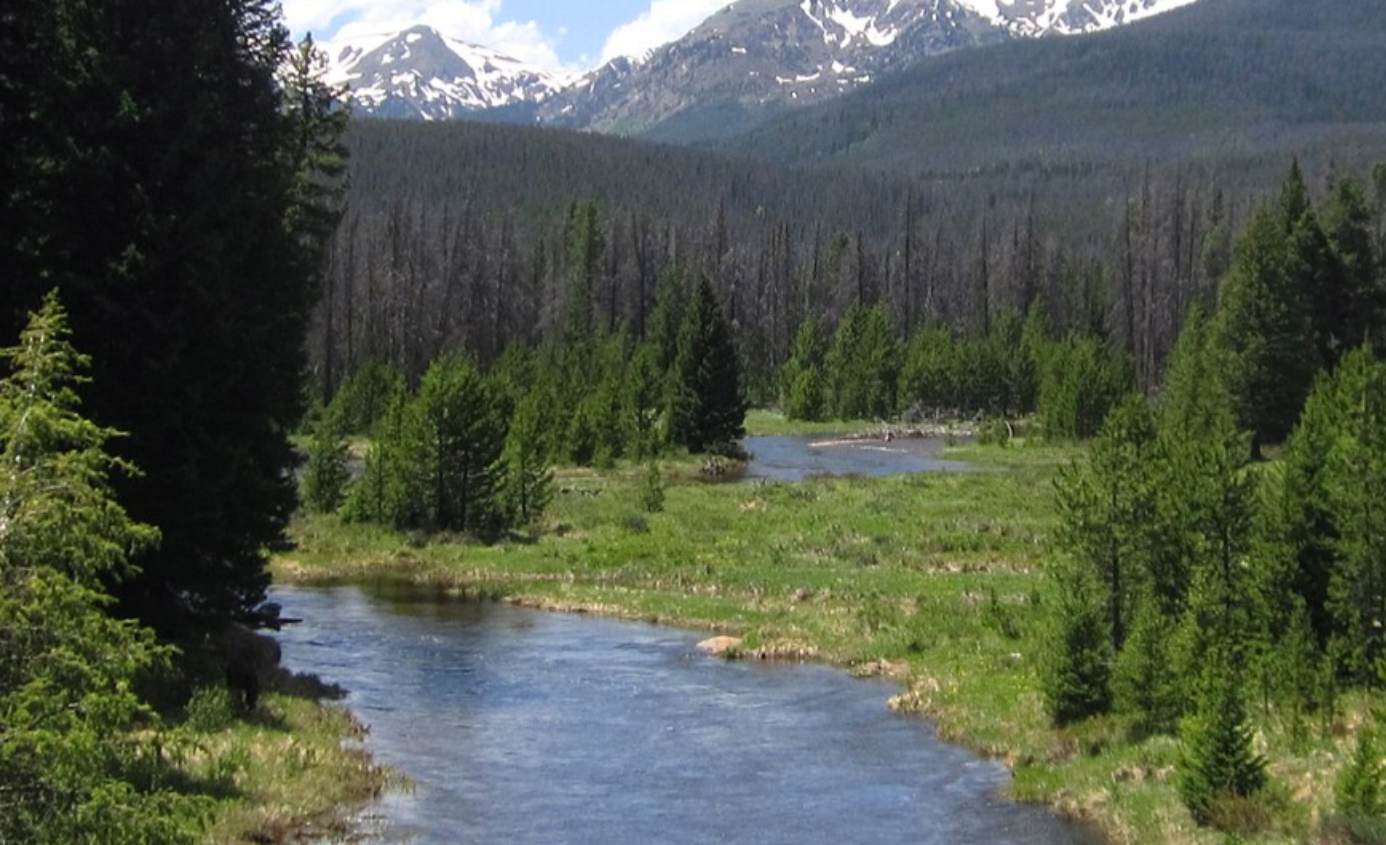 Chris McCandless facts