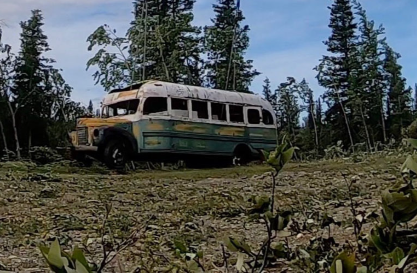 Chris McCandless facts