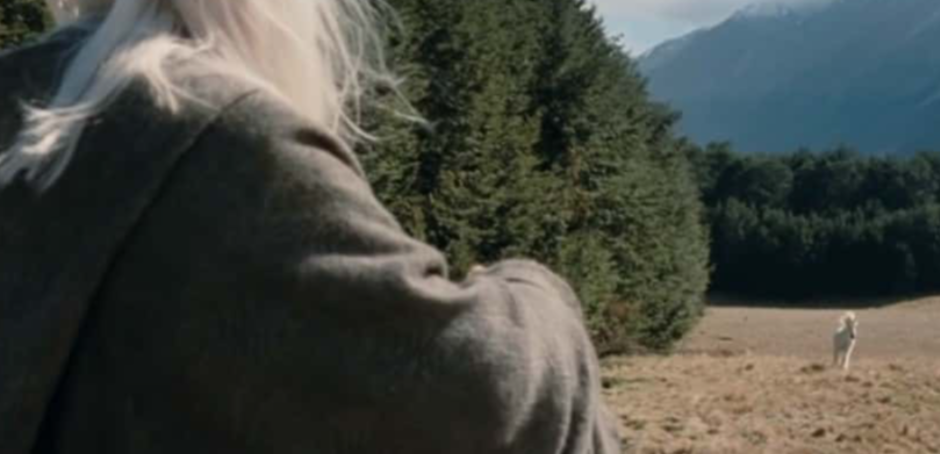 The Lord of the Rings: The Two Towers Facts