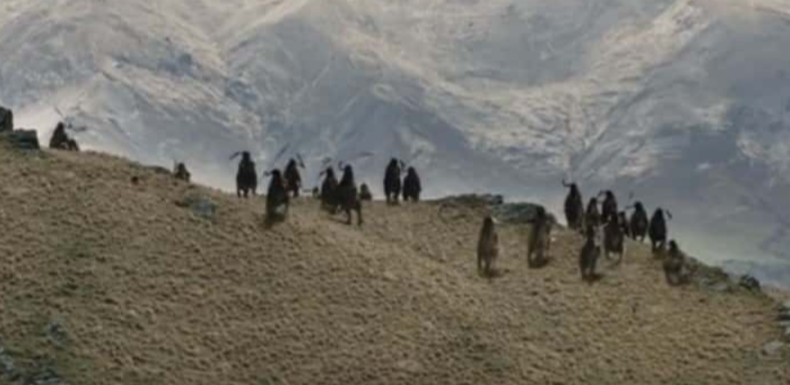 The Lord of the Rings: The Two Towers Facts