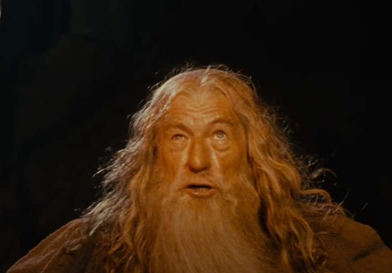 Fellowship Of The Ring