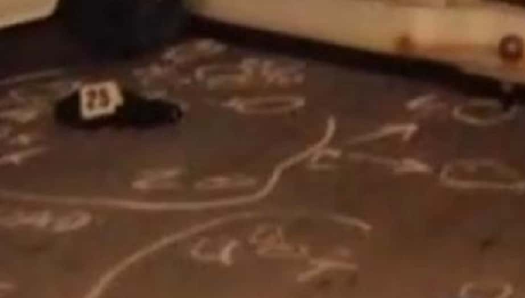 Bank Robberies Facts