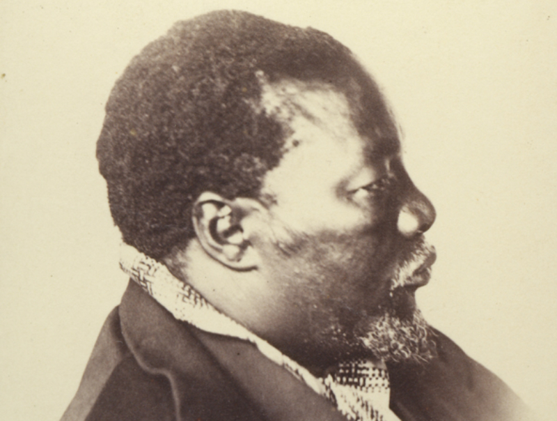 Sechele Gustav Fritsch 1865