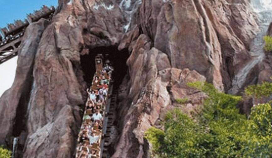 Roller Coasters facts