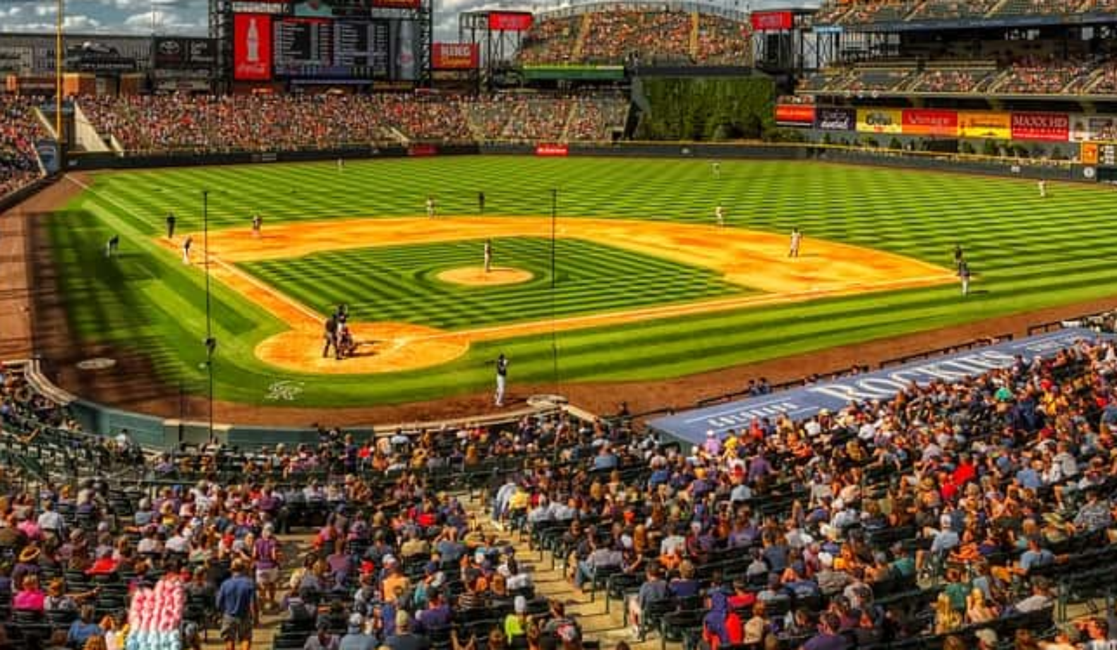 Anything And Everything Facts