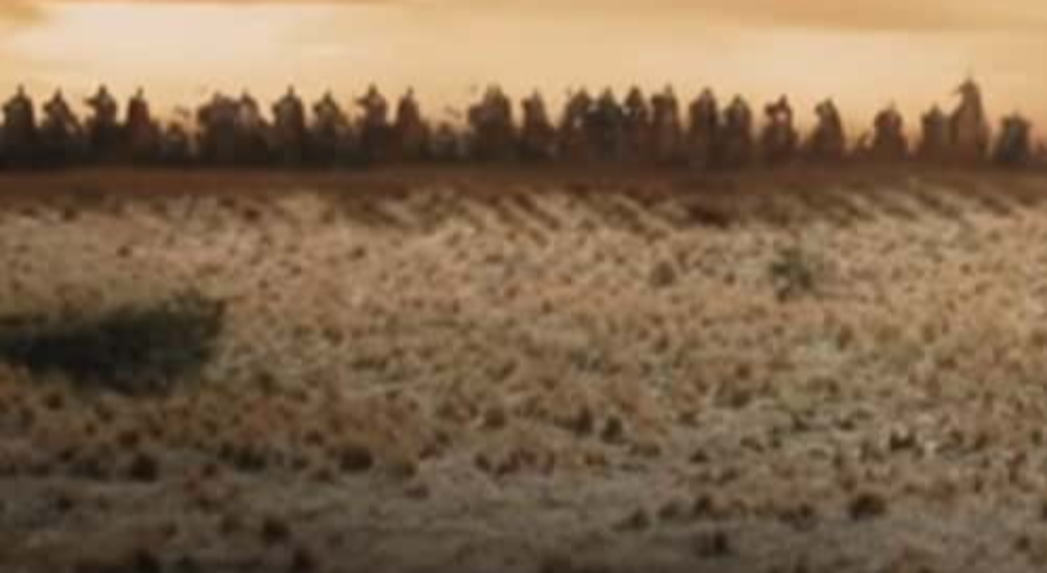 Lord Of The Rings: Return Of The King facts