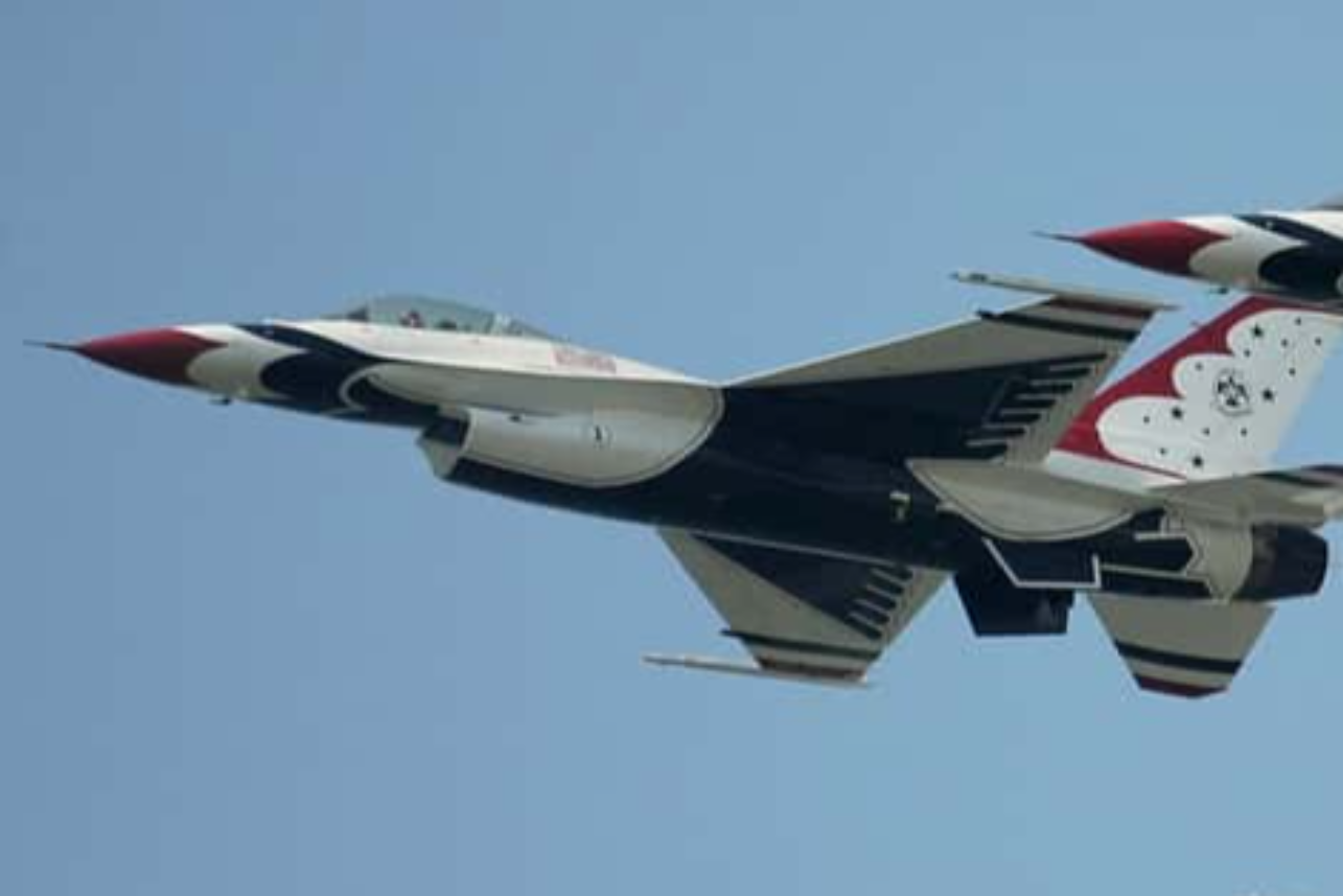 Anything And Everything Facts