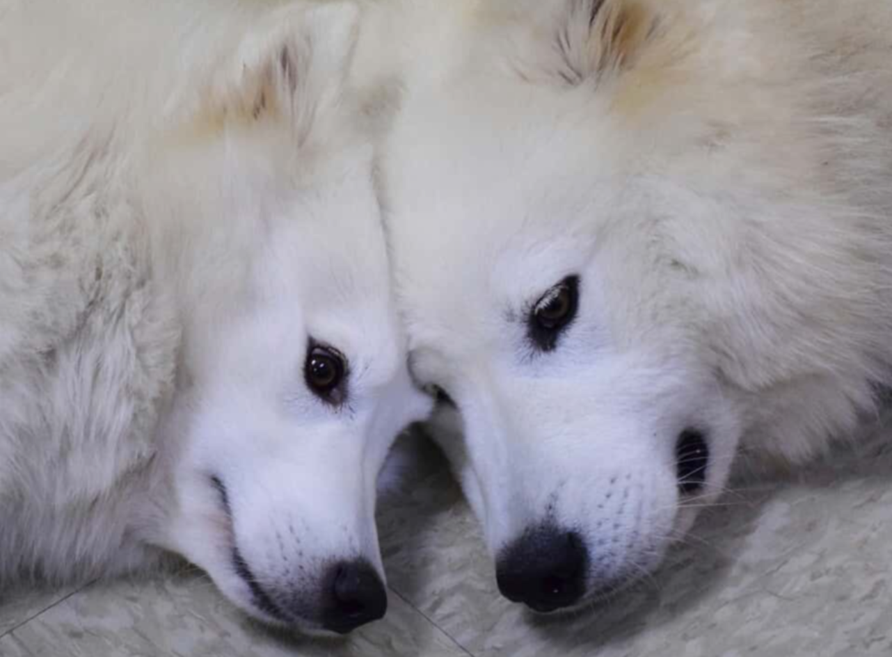 80s Action Films facts