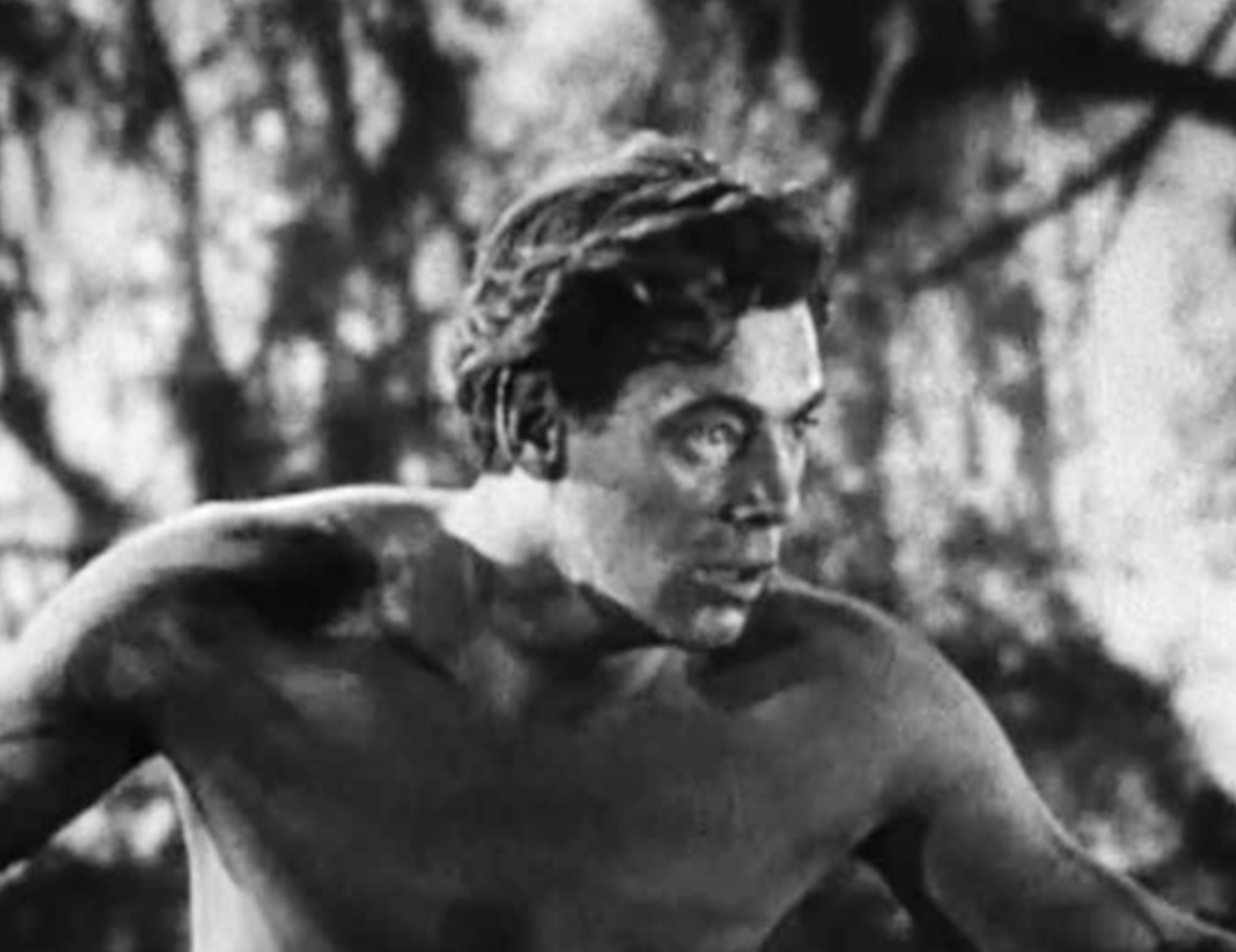 Bookworms Would Know facts