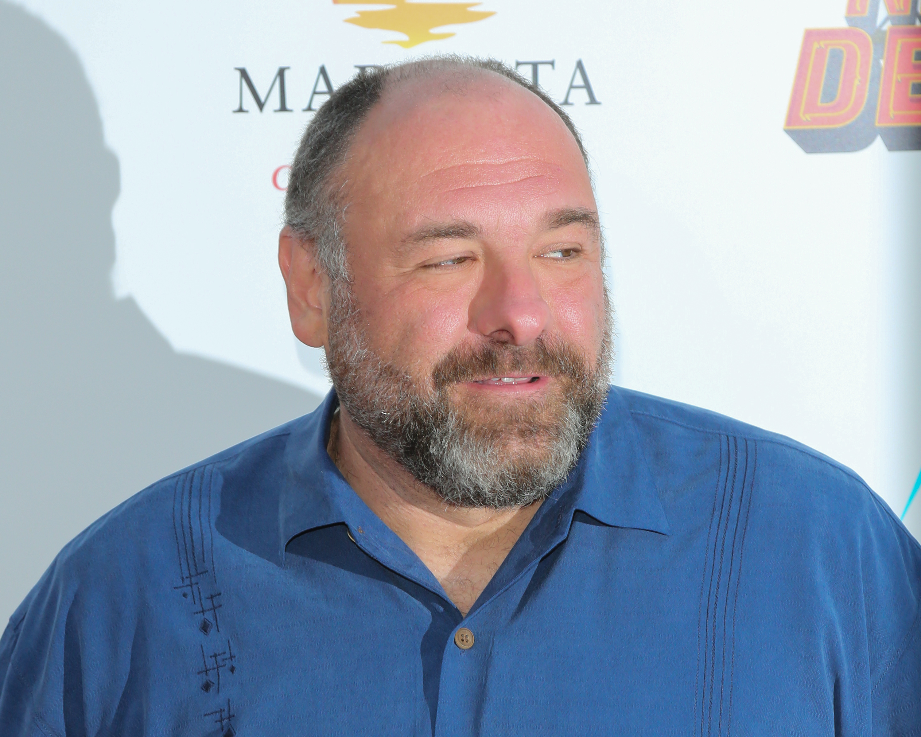 Actor James Gandolfini attends a premiere