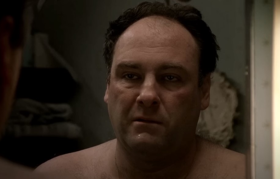 James Gandolfini as Tony Soprano