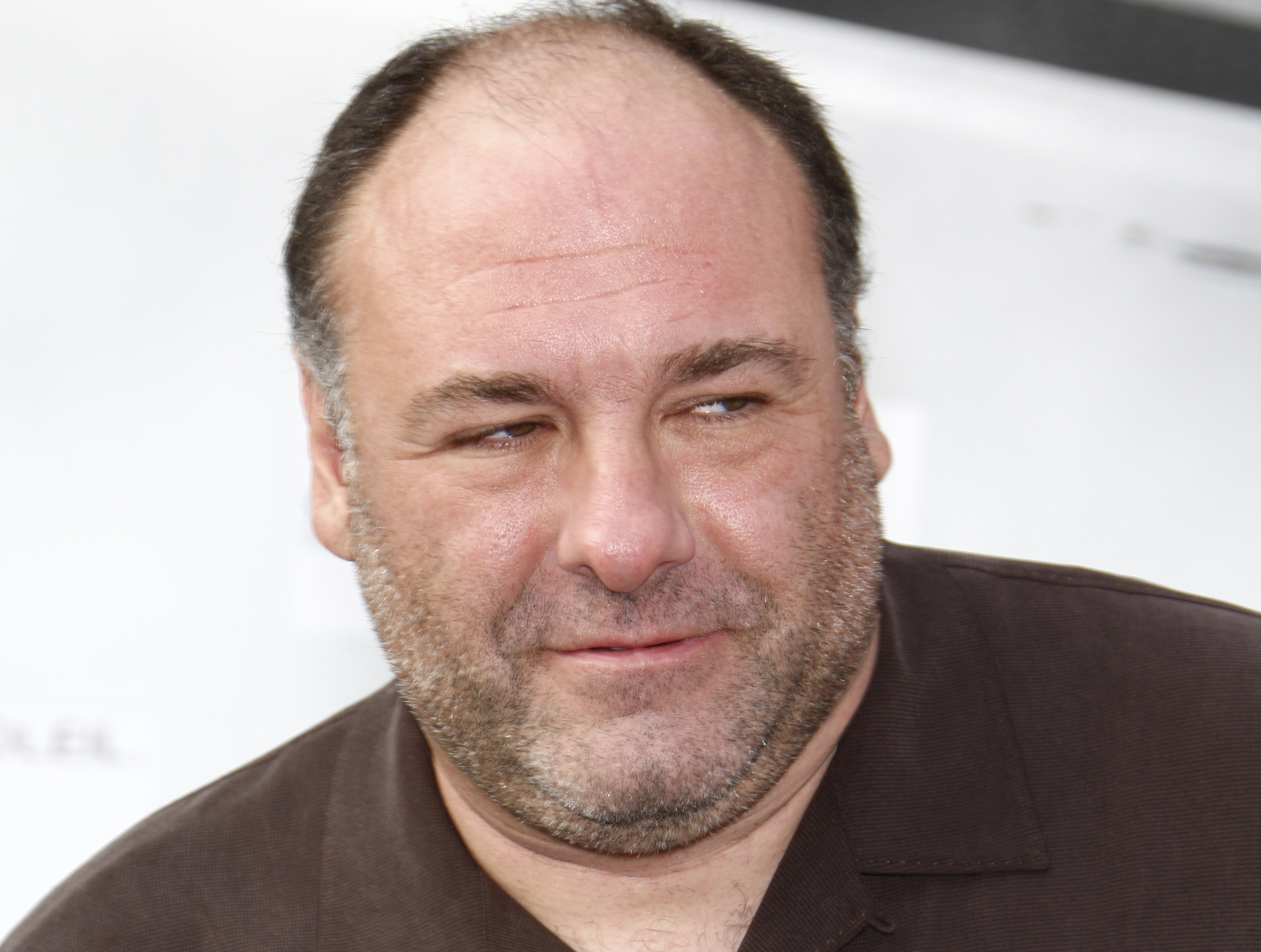 James Gandolfini in brown shirt