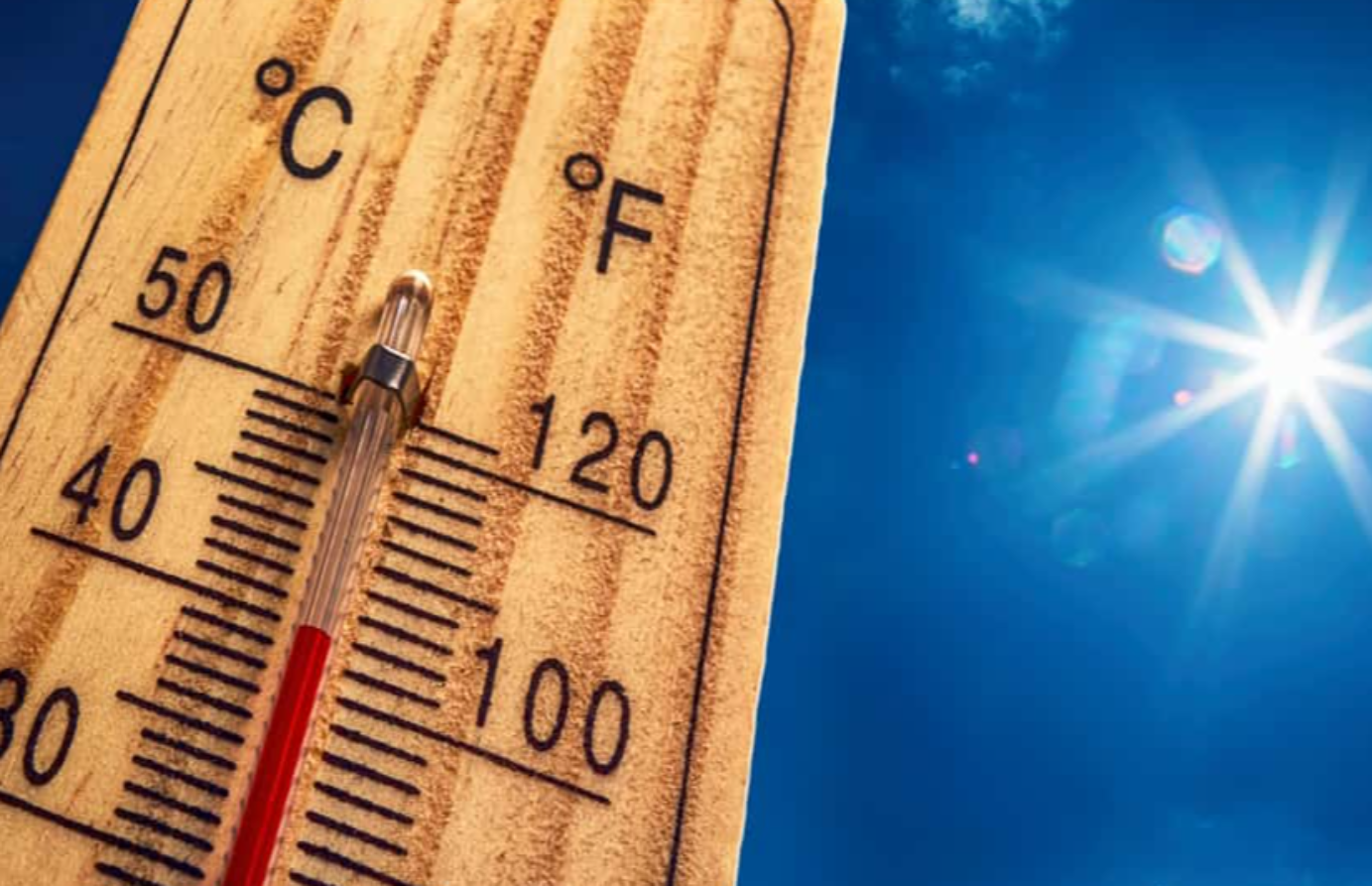 Natural Disasters Facts