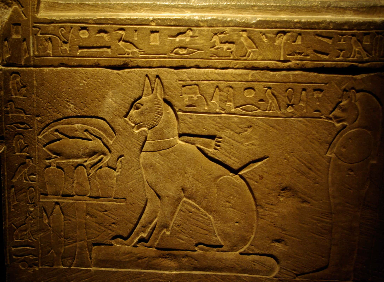 The sarcophagus of the cat of the Crown Prince Thutmose - 2007
