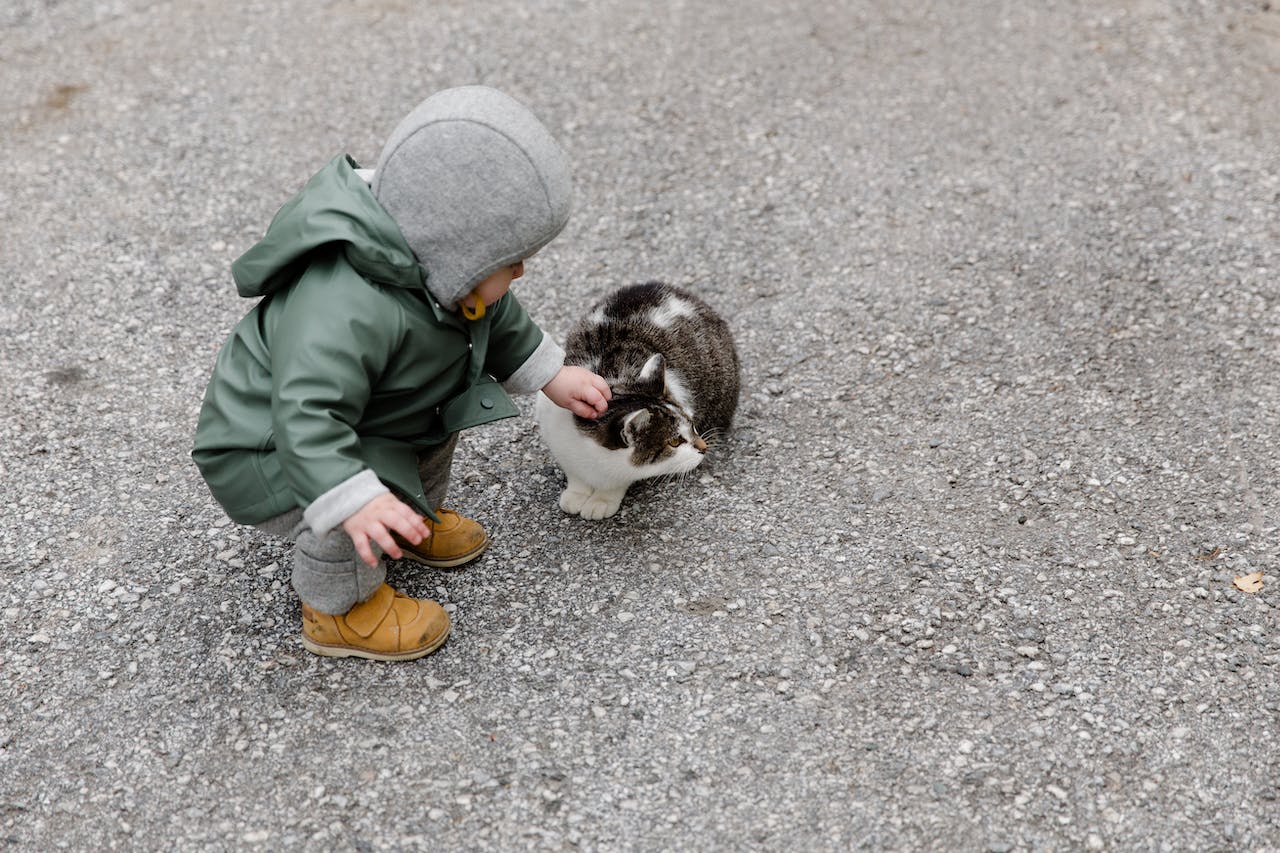 Kid playing with cat outside