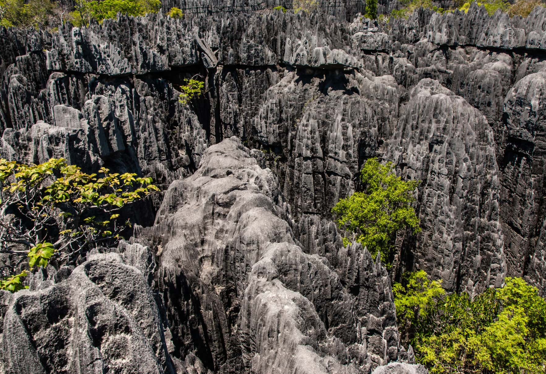 Most Dangerous Places Facts