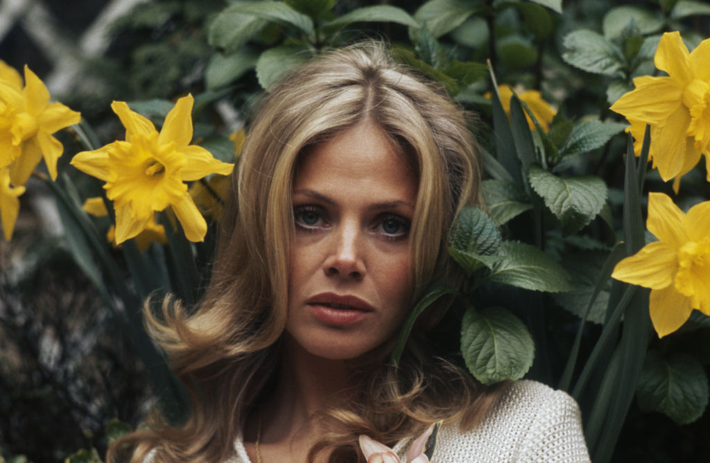 Swedish actress Britt Ekland among some daffodils