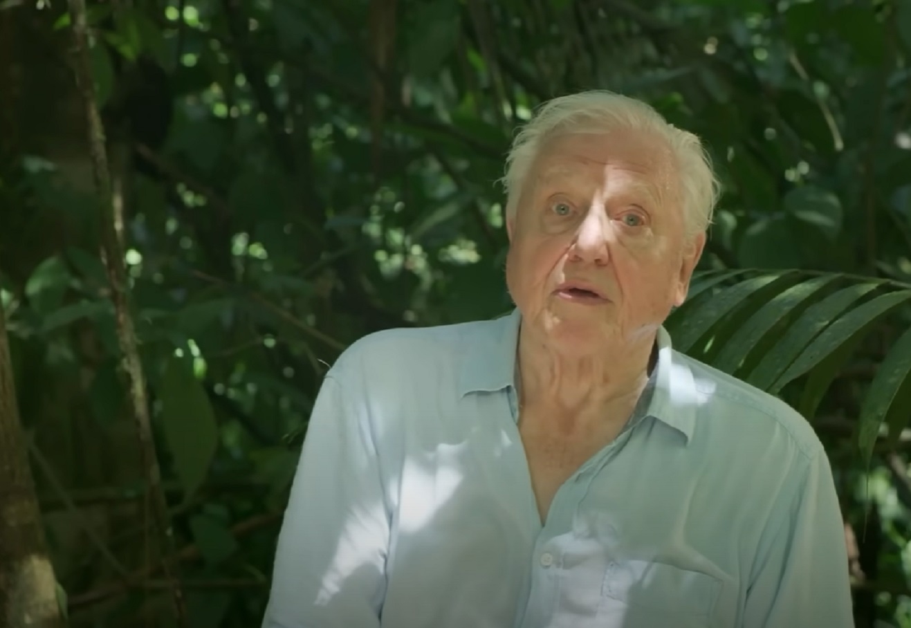 Screenshot of Sir David Attenborough - from Planet Earth (TV Series)