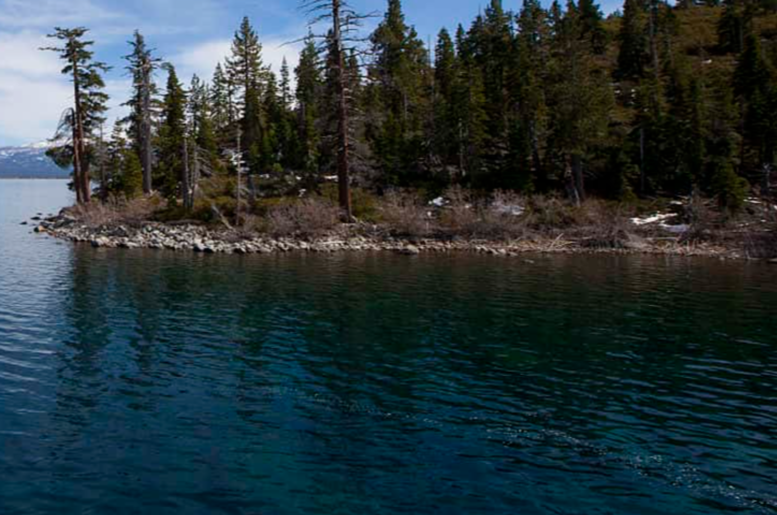 Embarrassing Moments In History facts