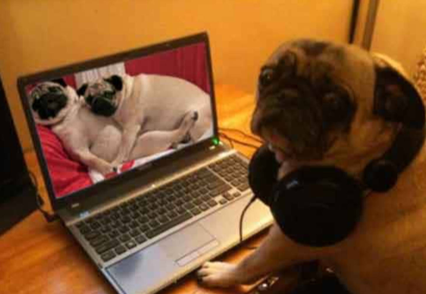 Richard the Lionheart facts