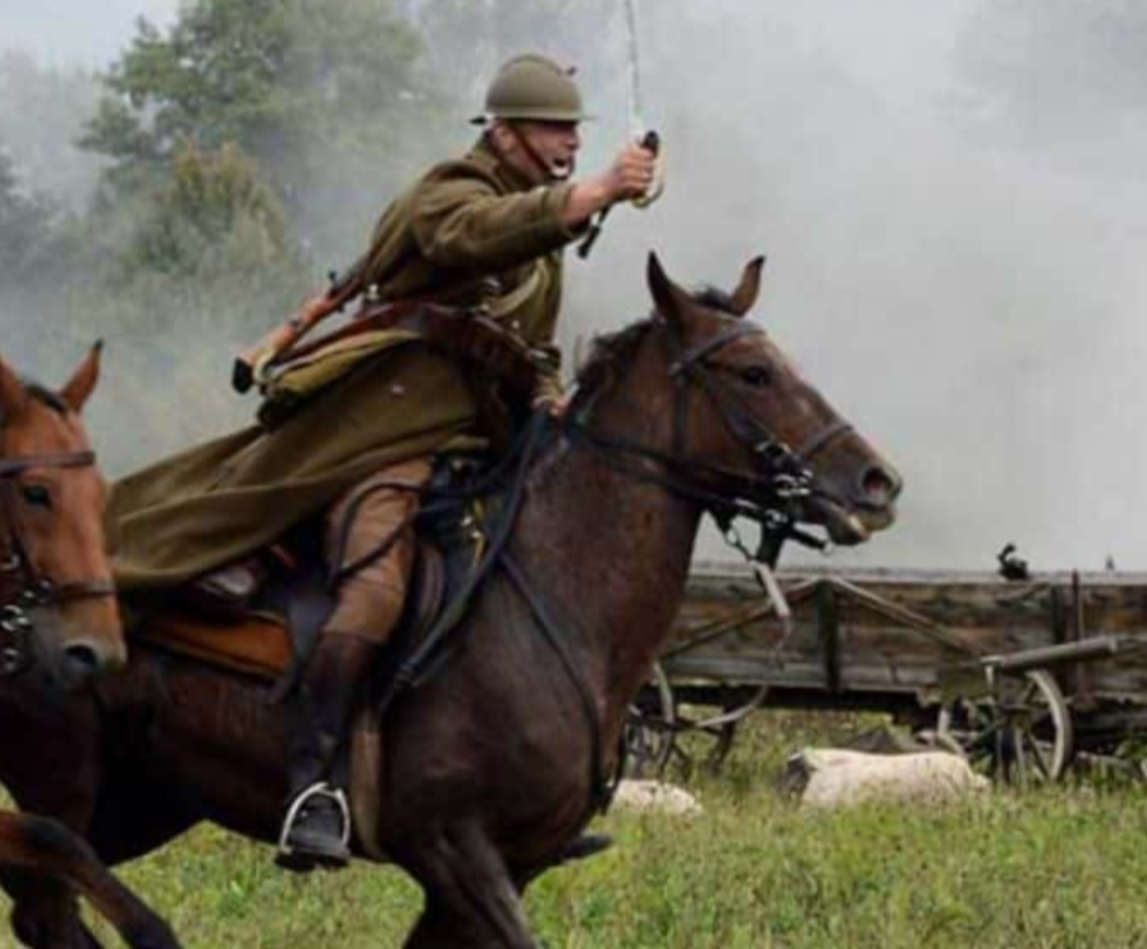 Animals In Warfare facts